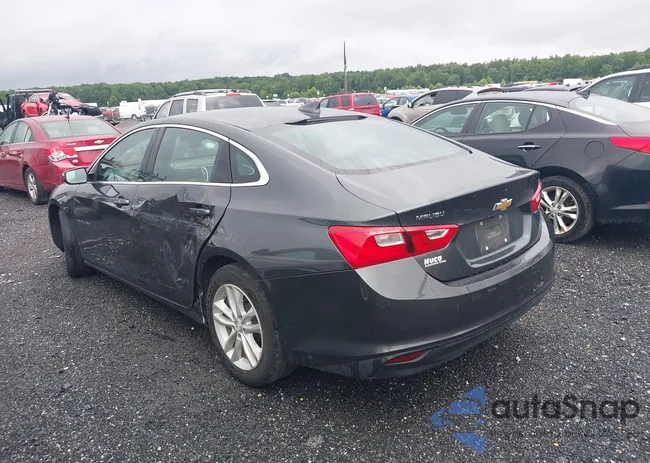 1G1ZD5ST8JF221563: 40073018