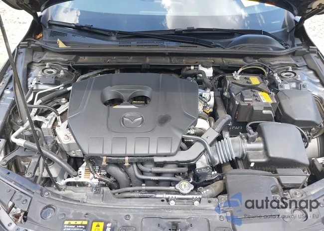 JM1BPALM3P1614019: 40073225