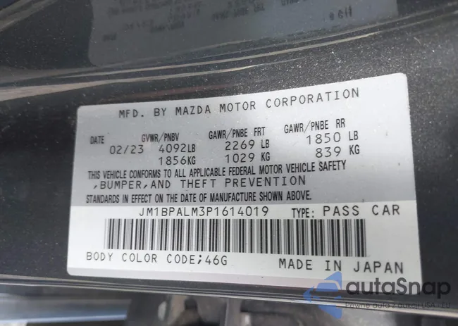 JM1BPALM3P1614019: 40073225