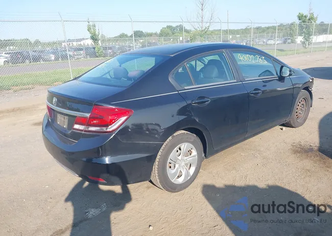 2HGFB2F56DH595233: 40102783