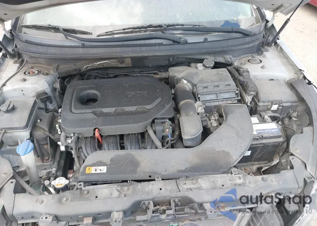 5NPE24AF4GH343661: 40110031