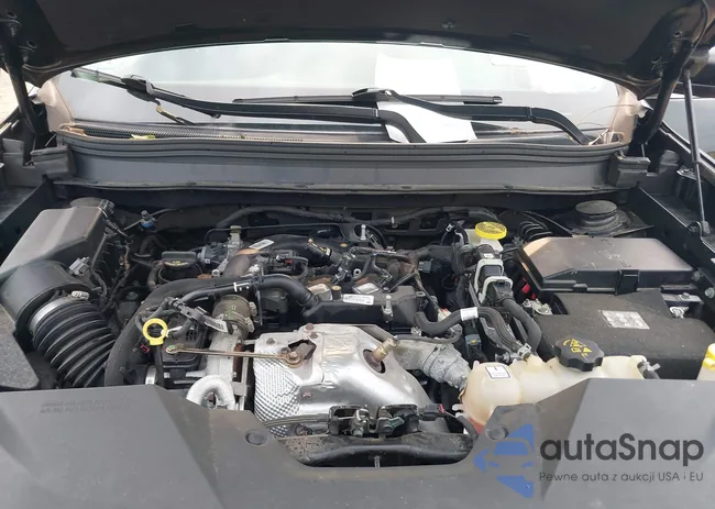 1C4PJMDNXKD117721: 40113091