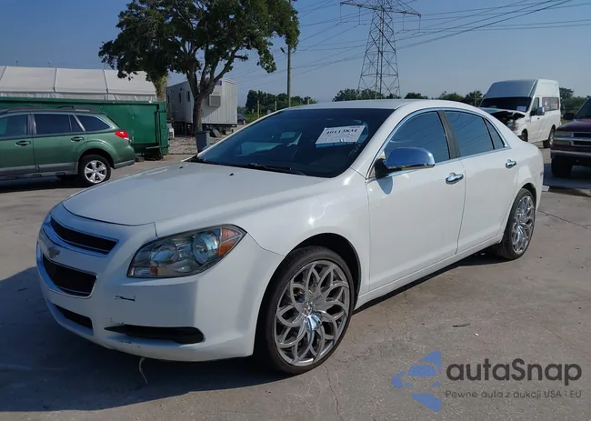 1G1ZB5E10BF261055: 40113831