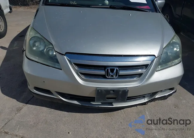 5FNRL38695B411320: 40116757