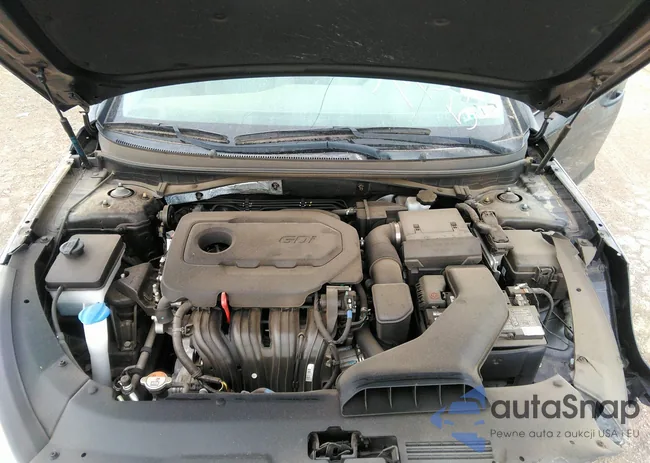 5NPE24AF7KH793359: 40131935