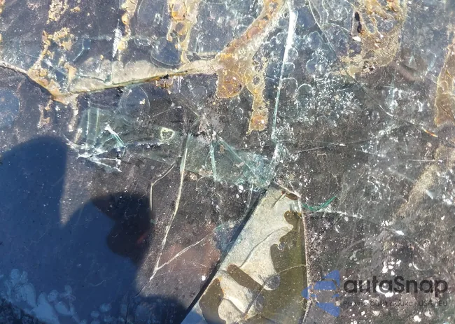 5NPLM4AG2NH075152: 40142417