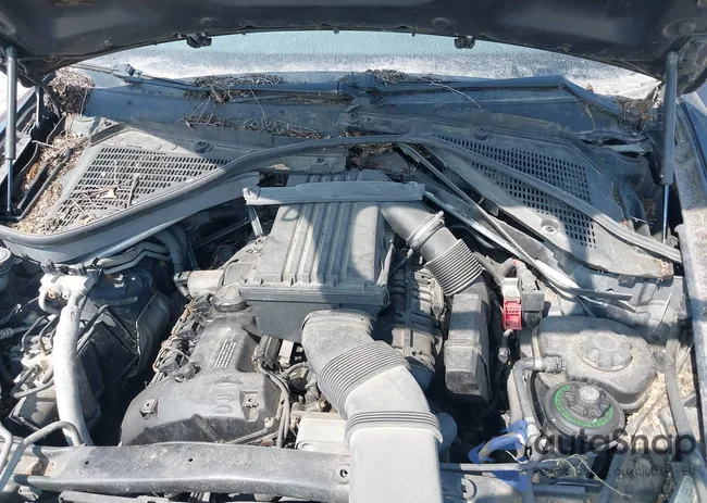 5UXFE43598L007466: 40162391