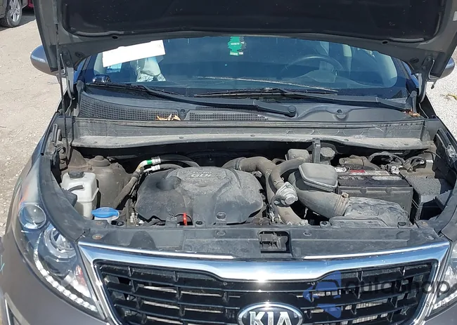 KNDPCCA62G7815683: 40185149