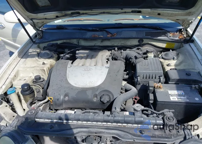 KNAGD128145356281: 40194382