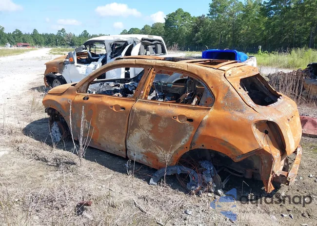 ZFBNFYD1XKP773285: 40194781