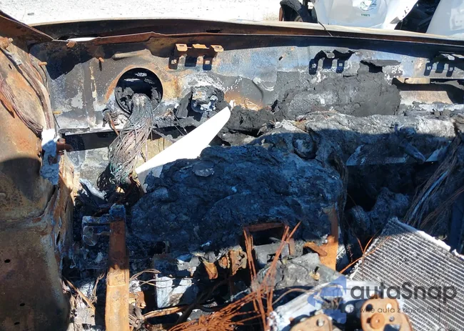 ZFBNFYD1XKP773285: 40194781