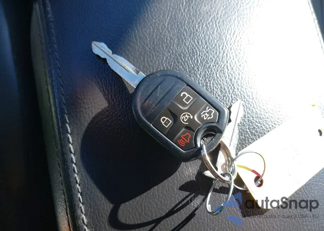 1FM5K8D8XFGB88598: 40206515