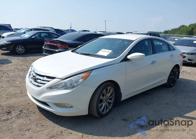 5NPEC4AC5DH559081: 40209356