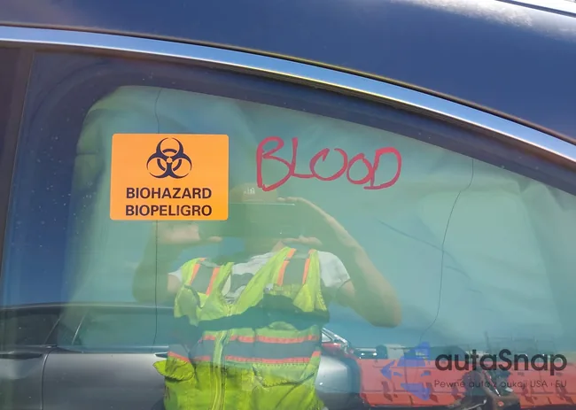 WDDSJ4EB6FN190699: 40212241