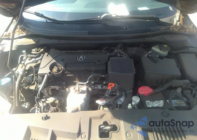 19UDE2F32GA005397: 40236871