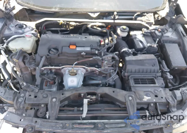 2HGFC2F75JH599994: 40244156