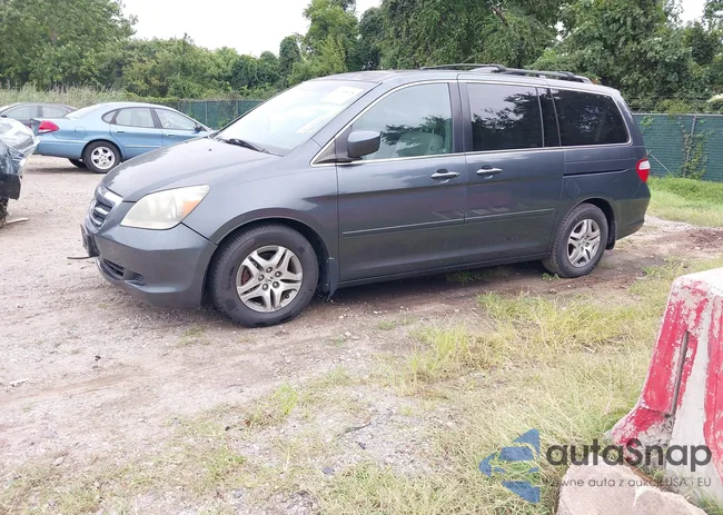 5FNRL38796B456848: 40248328