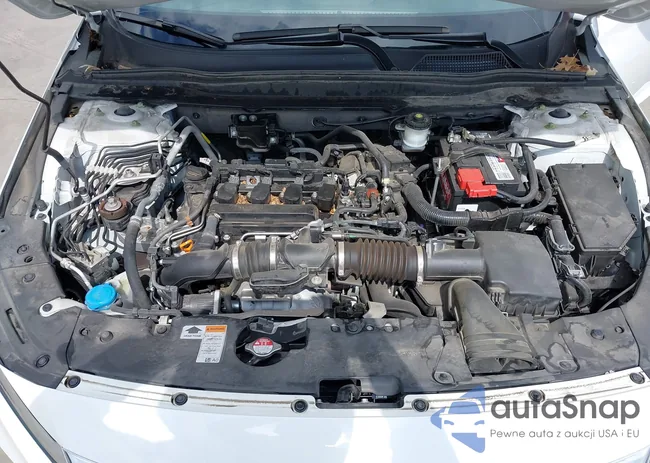 1HGCV1F19MA067699: 40259238