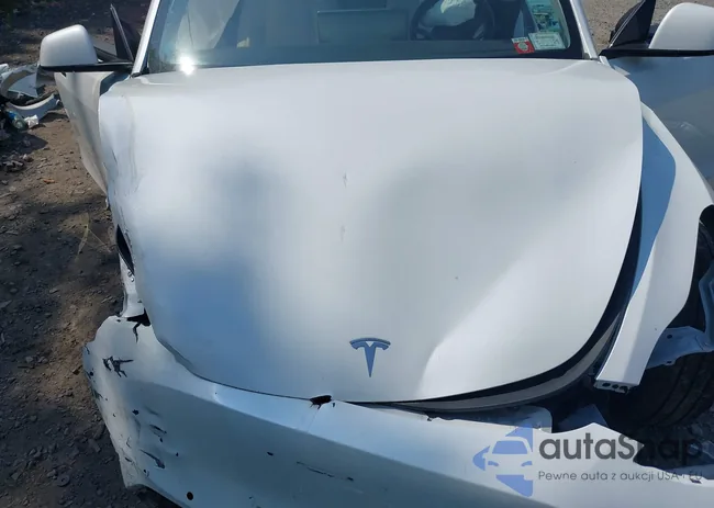 7SAYGDEEXNF355439: 40331874