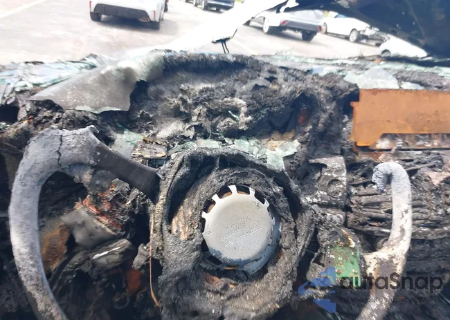 5UXFE43528L005218: 40336016