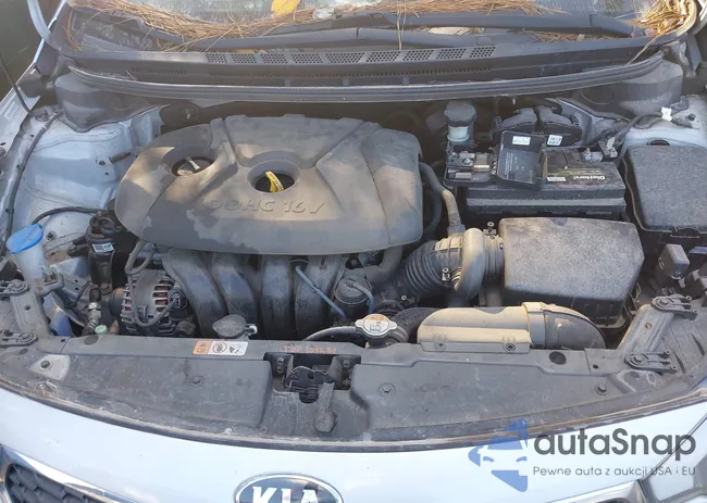 KNAFK4A64F5379057: 40338817