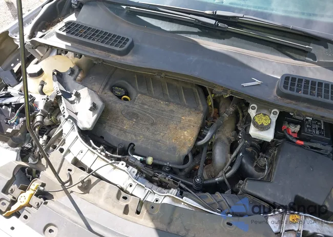 1FMCU0GD8HUC64271: 40345853