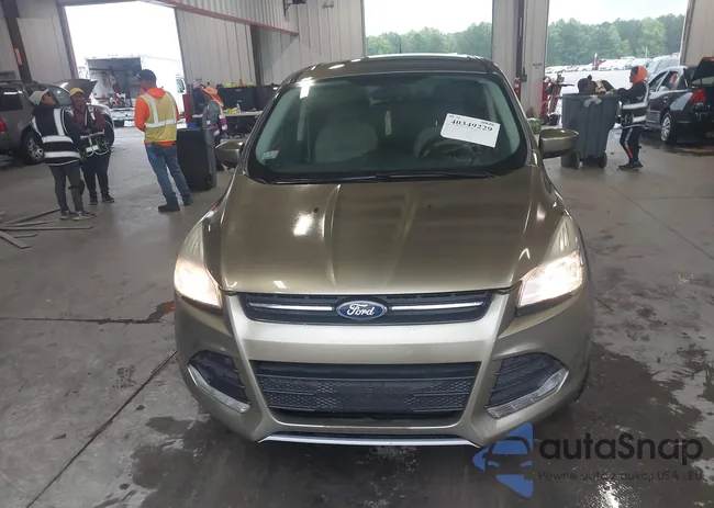 1FMCU9GX0DUD79732: 40349229