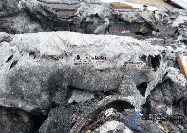 WA1LFAFP3EA081464: 40354477