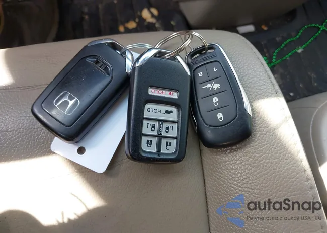 5FNRL5H65FB065778: 40356269