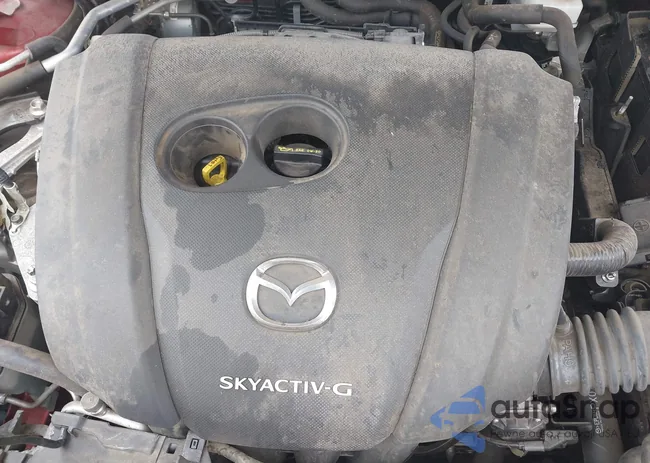 JM1BPAMM2K1135386: 40367062