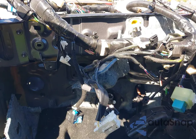 3TYCZ5AN2NT069789: 40382521