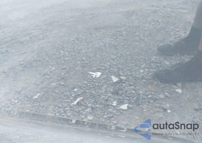 1G1FJ1R65K0139671: 40384630