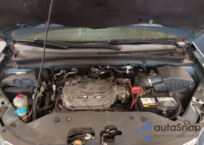 5FNRL38619B041499: 40393930