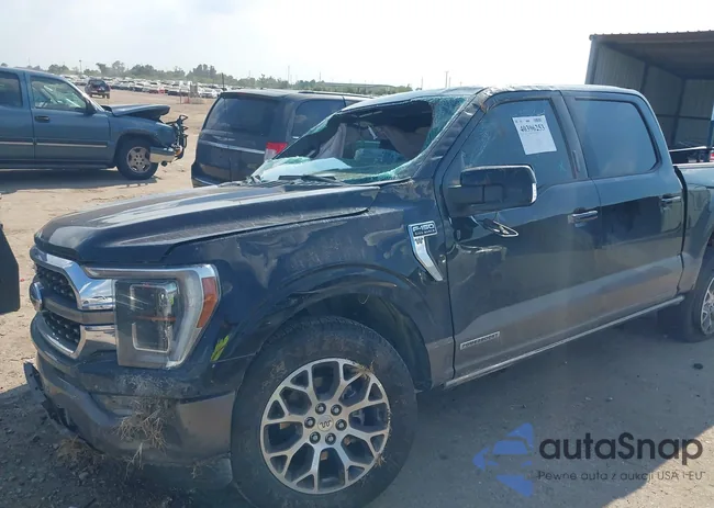 1FTFW1ED3PFD03128: 40396253