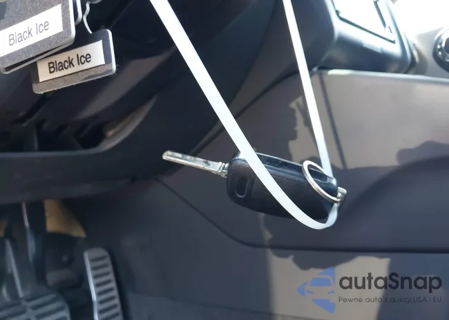 TRUAF38J081044643: 40403532