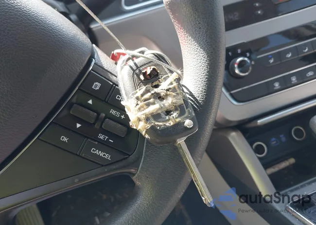 5NPE24AF6HH517327: 40405057