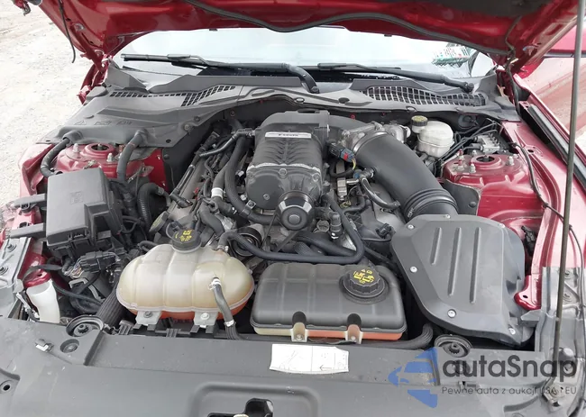 1FA6P8CF3G5251814: 40411087