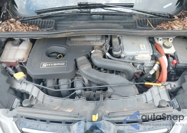 1FADP5BU0DL545068: 40414291