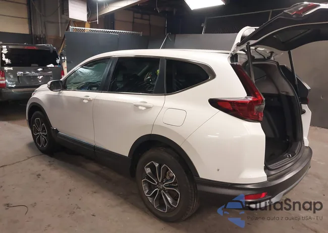 5J6RW2H87ML010258: 40433575