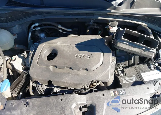 KNDPMCAC2H7238304: 40444057