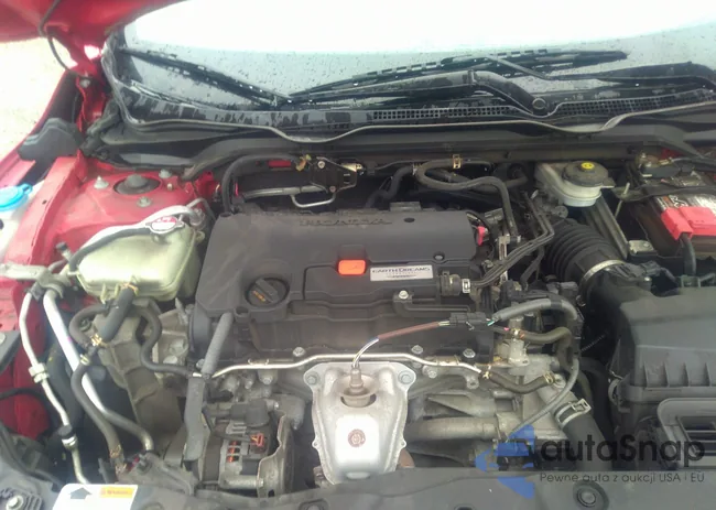 2HGFC2F55HH518792: 40445538