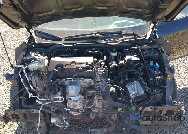 19XFC2F6XLE205958: 40452786