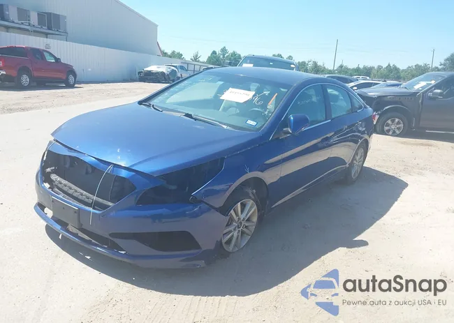 5NPE24AF6FH157974: 40455290