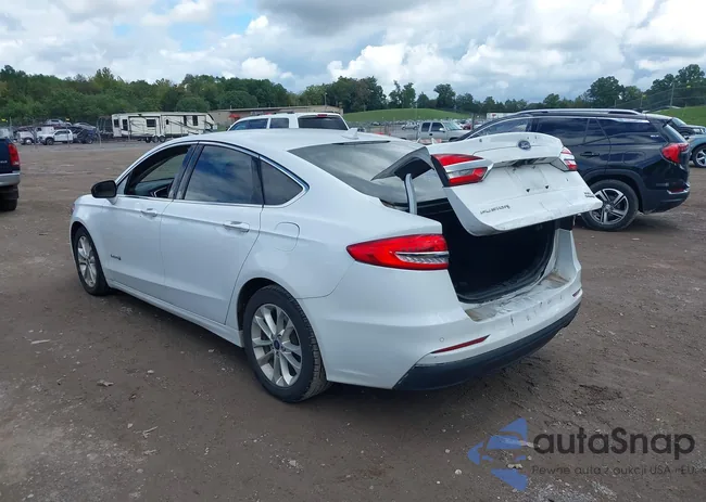 3FA6P0MU7KR255966: 40459647