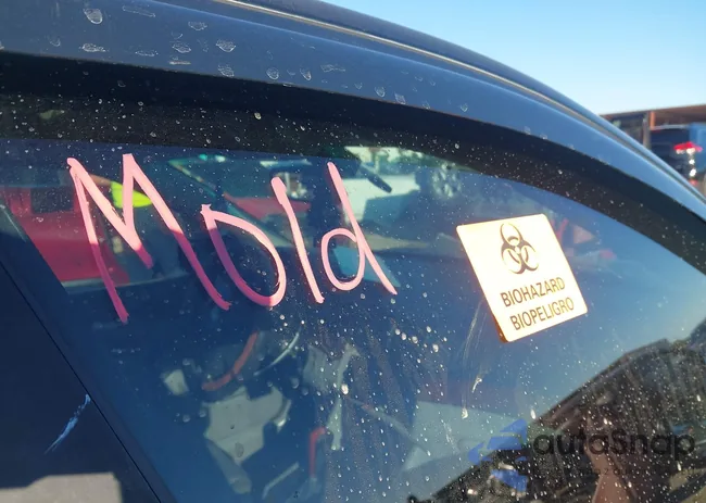 WBADT434X3G031778: 40466544