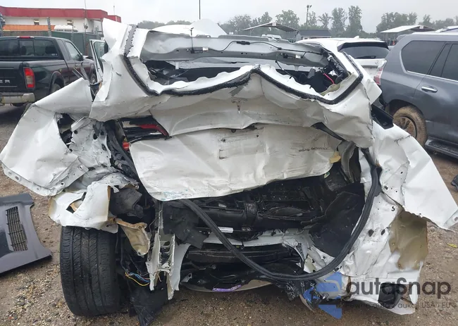 7SAYGAEE9NF524350: 40481844