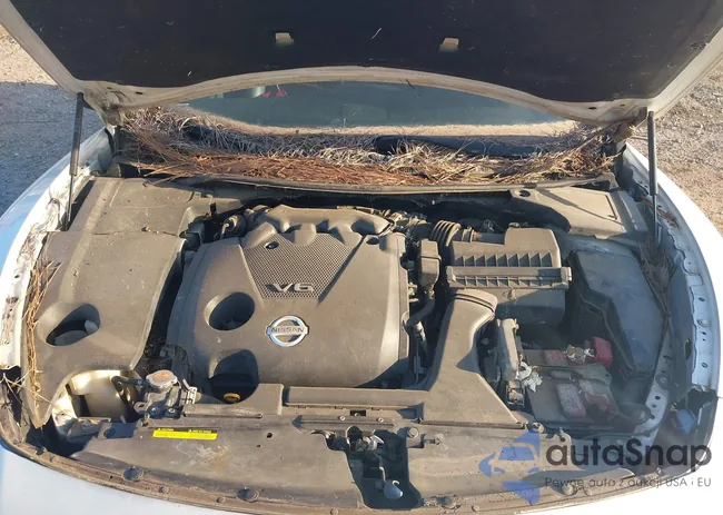 1N4AA5AP2DC811562: 40481389