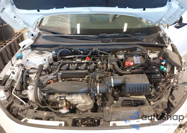 19XFL1H75PE006127: 40483740