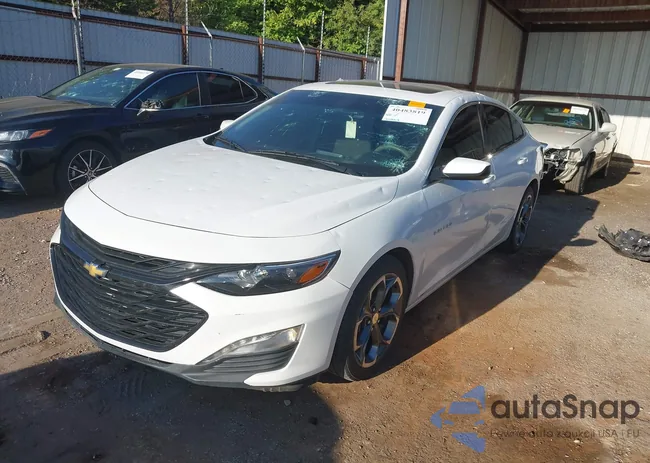 1G1ZD5ST8LF117688: 40483819