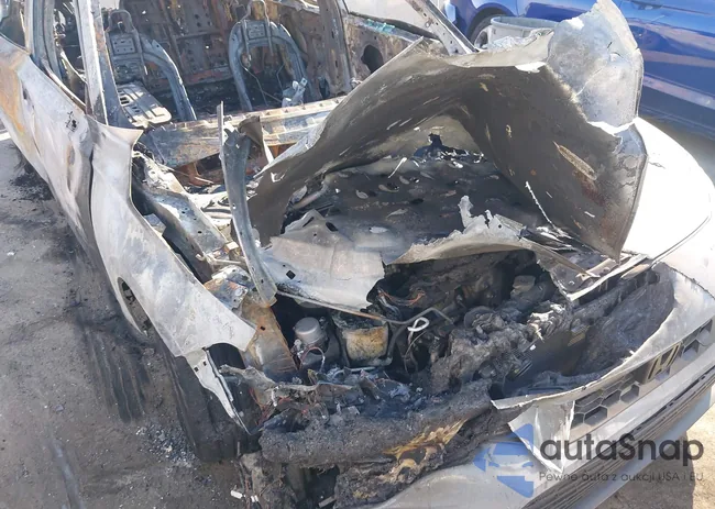 19XFL1H87RE013429: 40484660